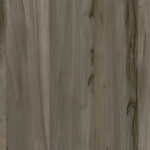 Woodgrain Decorative Swatches